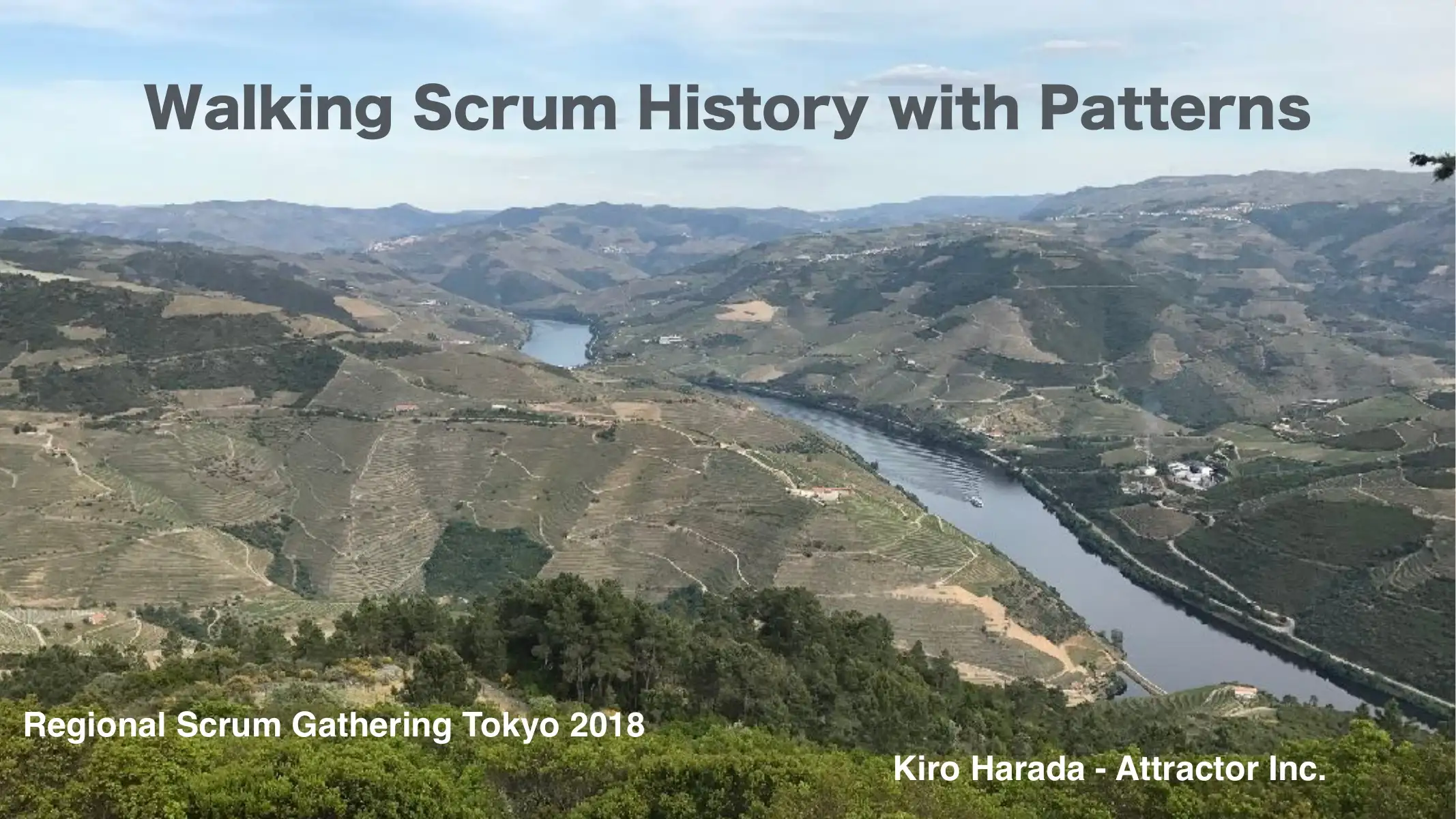 Walking Scrum History With Patterns